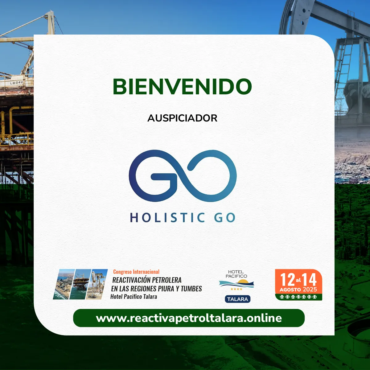 Holistic Go
