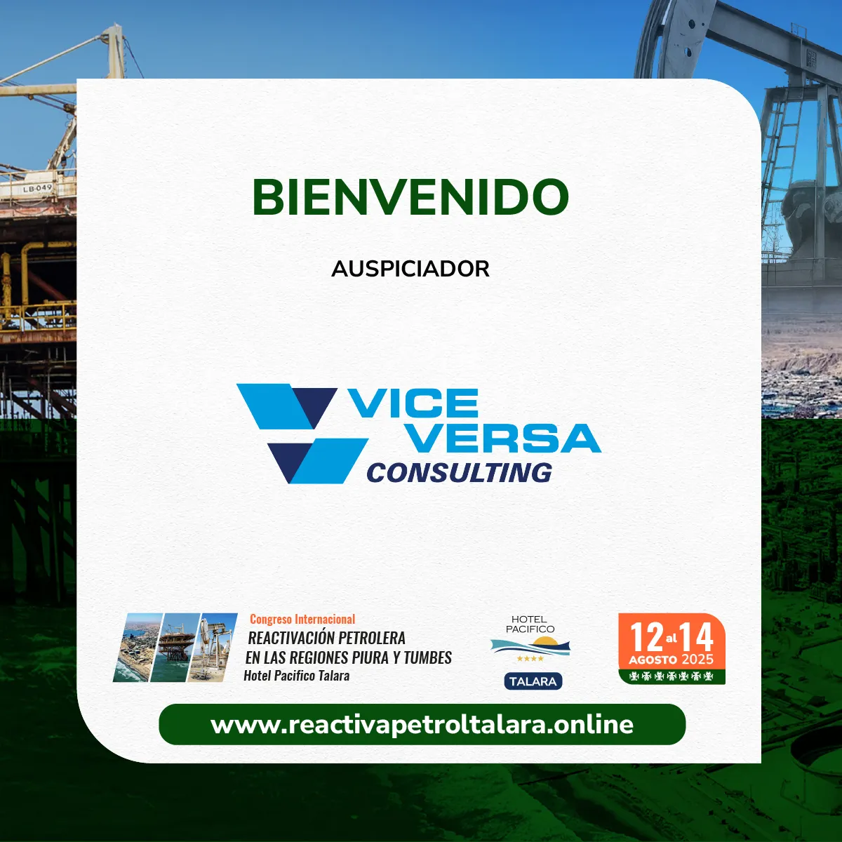 Vice Versa Consulting